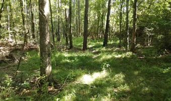 Tbd NE Bahalia Road, Brookhaven, MS 39601