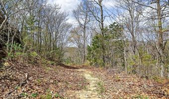 1089 Cornerstone Pkwy Lot 1A & D, Allons, TN 38541