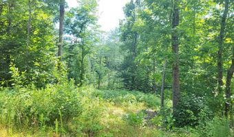 Lot39 Tripptown Road, Hiram, ME 04041