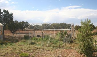 87 County Rd, Concho, AZ 85924