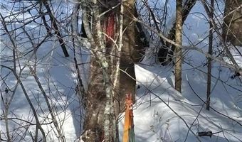 13102 Seaberg Ln, Bagley, MN 56621