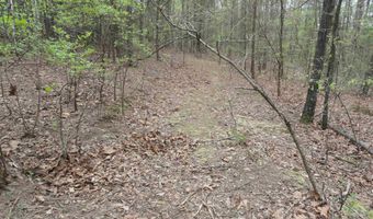 Long Branch Lane, Bee Branch, AR 72013