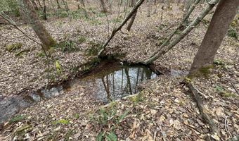 34655 Co Rd 49, Beaverton, AL 35544