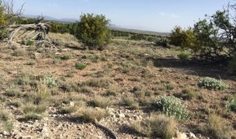 572 Windmill Rd, Carrizozo, NM 88301