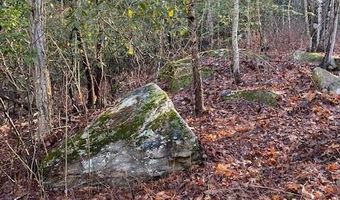 Lot 58 Lost Panther Road 58, Brevard, NC 28712