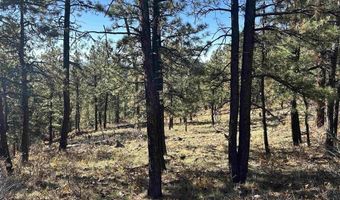 490 Hilltop Dr, Bayfield, CO 81122