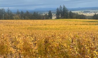 SE EOLA HILLS RD, Amity, OR 97101