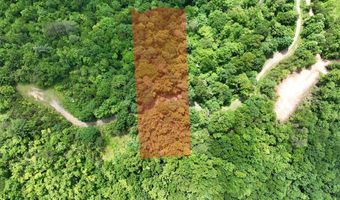 Lot 51 Grand View Falls 51, Andrews, NC 28901