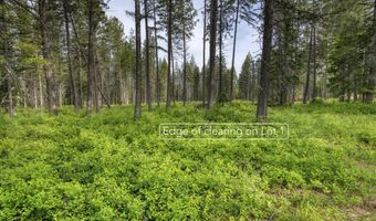 NNA Holmes Road Lot 1, Bonners Ferry, ID 83805