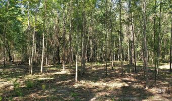 Lot 1A Harris Street, Atmore, AL 36502