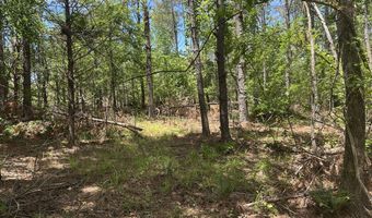 County Road 244 Tract A, Abbeville, MS 38601