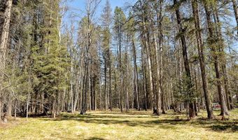 518 Eastman Dr, Bigfork, MT 59911