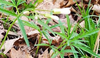 4775 S 50th Rd, Aldrich, MO 65601