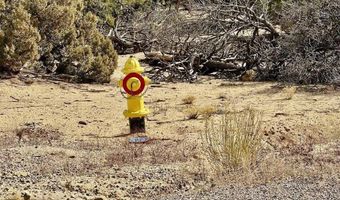 CR 2550 Road, Aztec, NM 87410