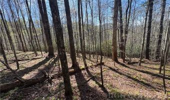 2438 Kellersville Rd, Banner Elk, NC 28604