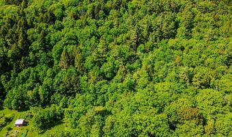 Camp Brook Road lot Map 30 Lot 67, Alstead, NH 03602