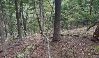 20 EWALLS RIDGE Rd, Basye, VA 22810