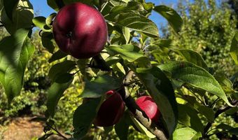 97040 Henderson, Brookings, OR 97415