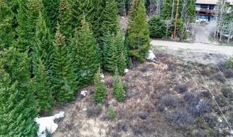 498 97 Cir, Blue River, CO 80424
