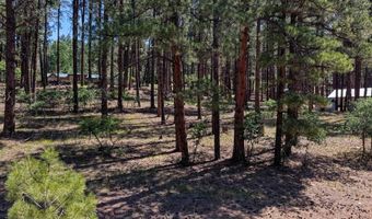 79 Spruce Way, Bayfield, CO 81122