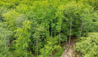 1 Camino Rd, Hot Springs Village, AR 71909