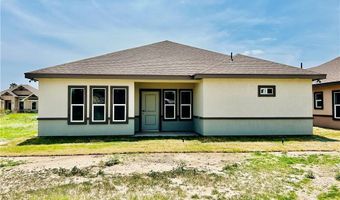 510 Tower Oak Dr, Alamo, TX 78516