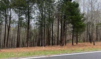 Willow Grove Hwy lot 1, Allons, TN 38541