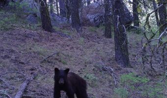 L16 B1 Lantern Way lot 16, Cascade, ID 83611