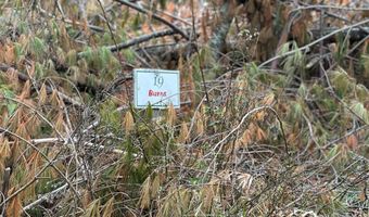 99999 White Pine Ln, Bakersville, NC 28705