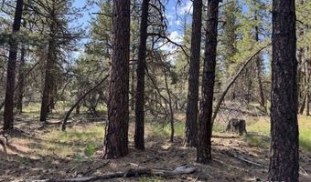 Thunder Bear Road, Bonanza, OR 97623