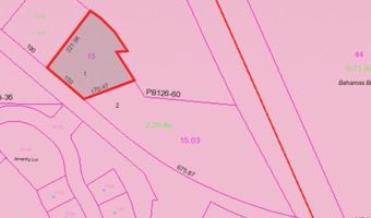 Lot 1 TBD MUDDY NECK ROAD, Frankford, DE 19945