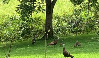 679 New Hope Church Rd, Barbourville, KY 40906