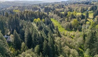 39402 NE 211TH Ave, Amboy, WA 98601