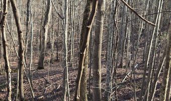 River Oak drive lot 7, Big Sandy, TN 28320