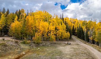 754 S Driftwood Dr, Brian Head, UT 84719