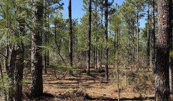 Fairview Road, Batesburg Leesville, SC 29006