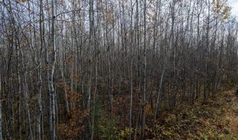 OLD LAKE RD lot On, Anderson, WI 54840