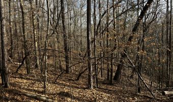 0 County Road 93, Bankston, AL 35554