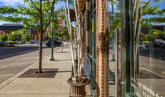 231 Robinson Street 330, Basalt, CO 81621