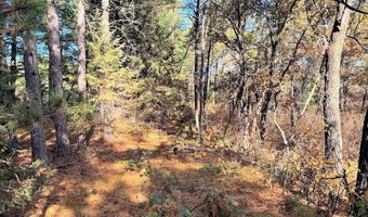 10 Acres County Road C, Arkdale, WI 54613