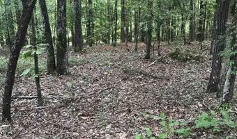 AURORA CIRCLE lot 14, Alpine, AL 35014