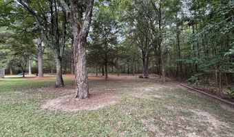 113 Woodson St, Bruce, MS 38915