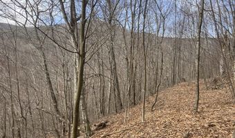 0 TBD Elleber Sods Rd, Bartow, WV 24920