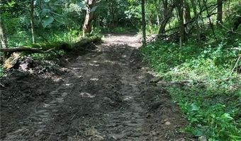 N3953-201 Bear Pen Road, Arkansaw, WI 54721