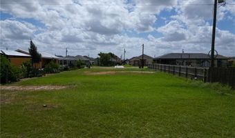 813 Pelican St, Alamo, TX 78516