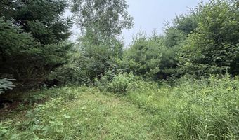20 Acres E M-30 Hwy, Alger, MI 48610
