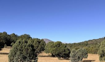 270 A Saddleback Rd Lot 270A, Alto, NM 88312