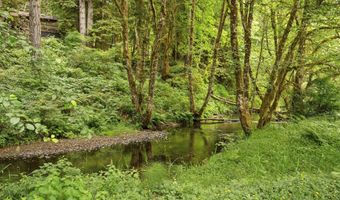 10251 Ridgview Ter, Birkenfeld, OR 97016