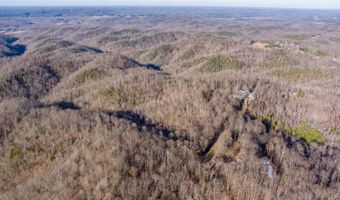 Tract # 1A Malone Ridge Rd, Albany, KY 42602