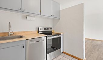 50 Twining Flats Rd, Aspen, CO 81611